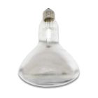 Лампа накаливания зеркальная