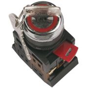 Переключатель AKS22 с ключ. 1-0. 1з+1р IEK BSW10-AKS-2-K02